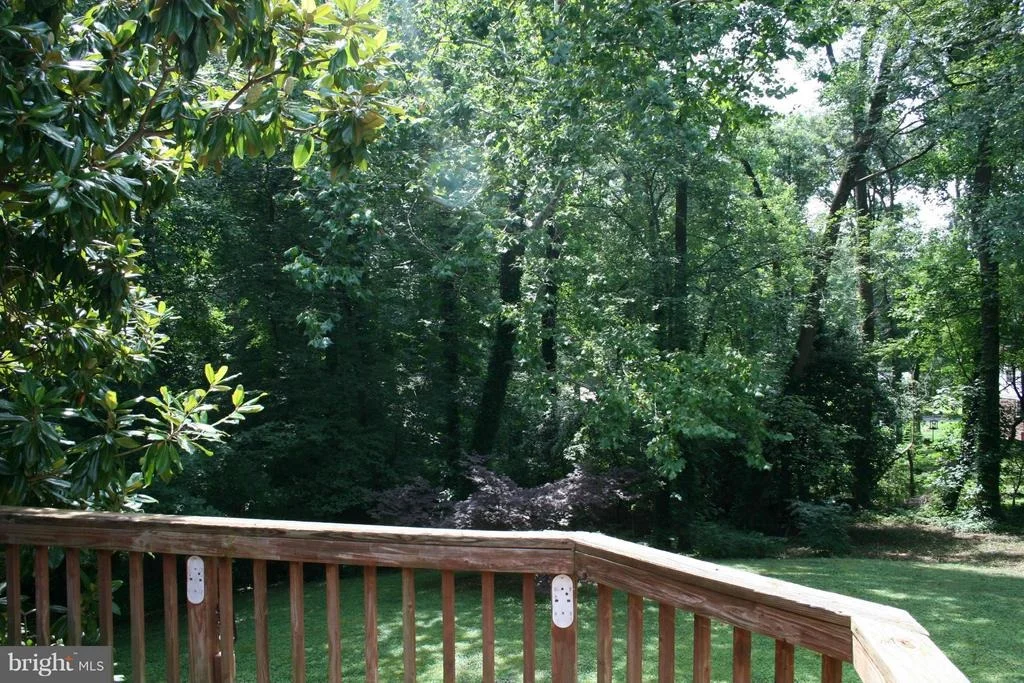 Photo of 10911 BORNEDALE DRIVE