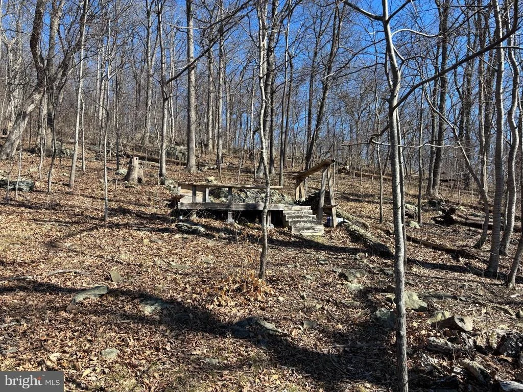Photo of CARTERS RUN