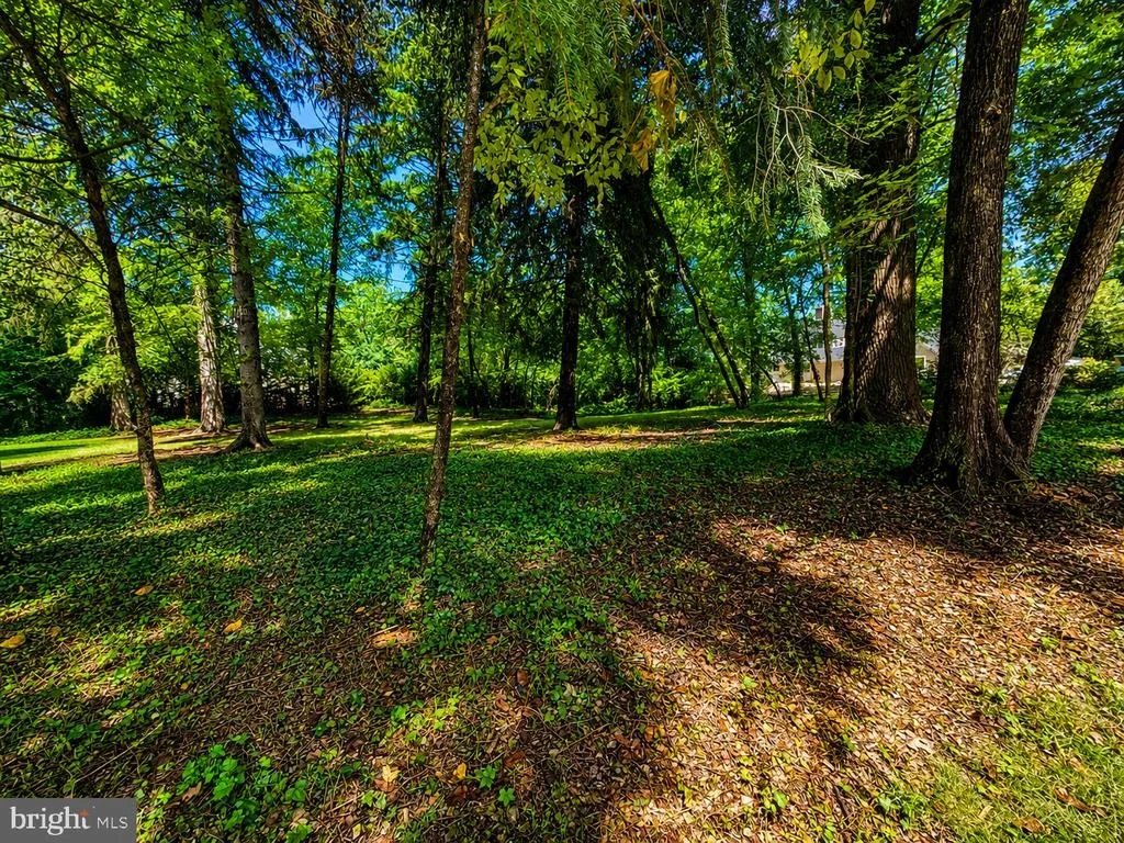 Photo of 389 AVONDALE CIRCLE
