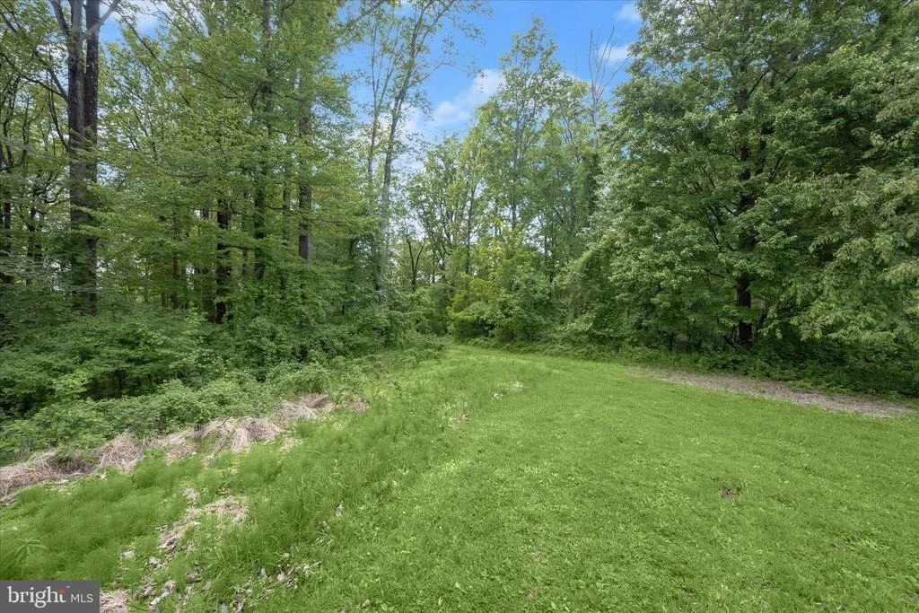 Photo of 2994 FALLS RUN ROAD