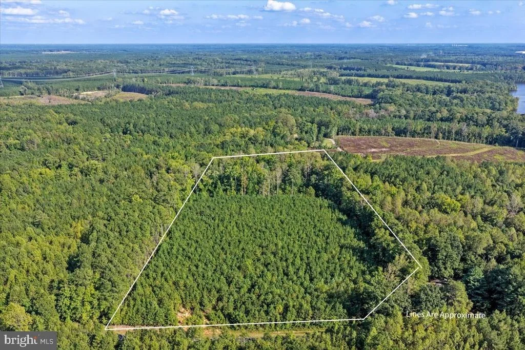 Photo of Lot 7 & 8 COUNTY POND ROAD