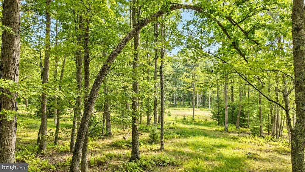 Photo of Lot 12 POLAND HEIGHTS LANE
