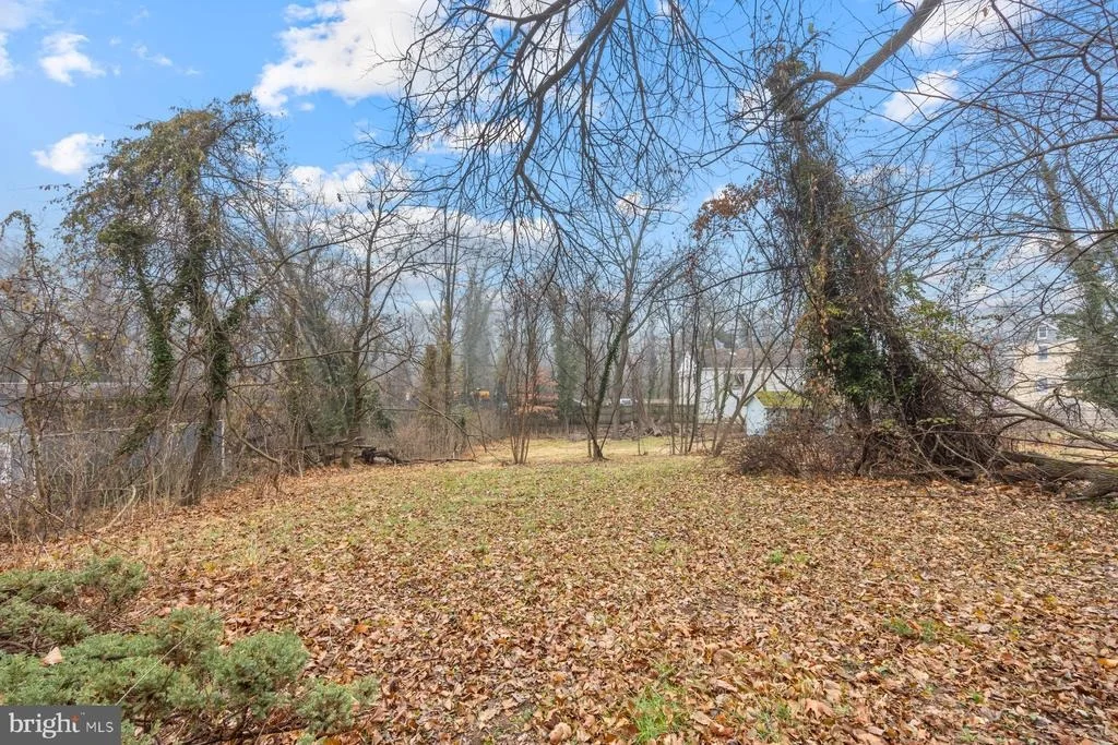 Photo of 307 HARLEM LANE