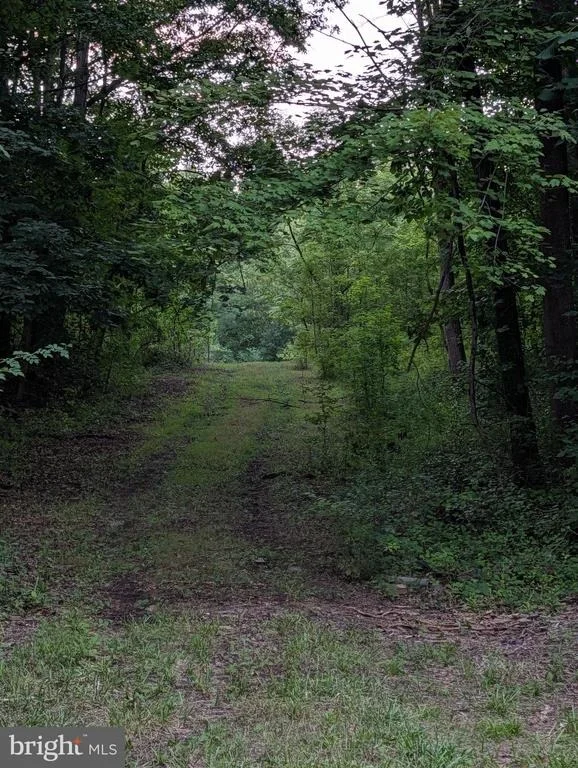 Photo of CENTRAL AVENUE