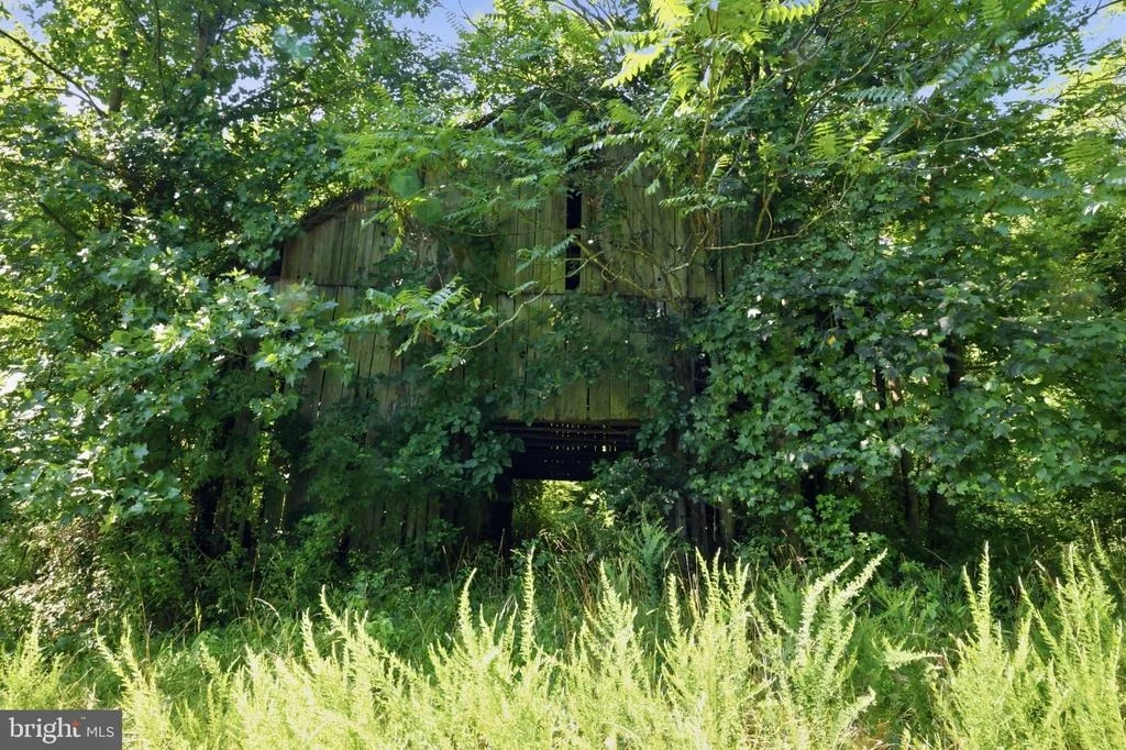 Photo of 13729 MARTIN ROAD