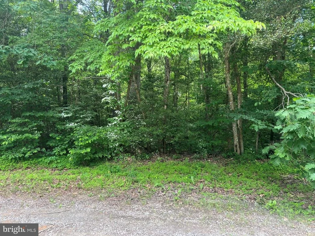 Photo of 5517 FOREST VIEW DRIVE