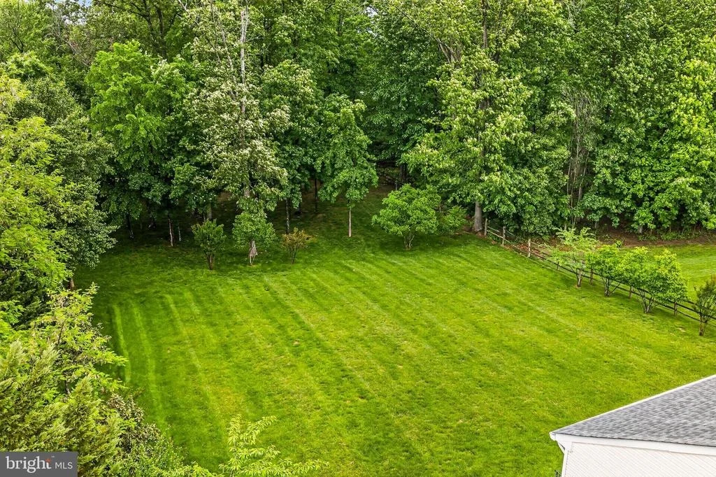 Photo of 25825 SPRING FARM CIRCLE