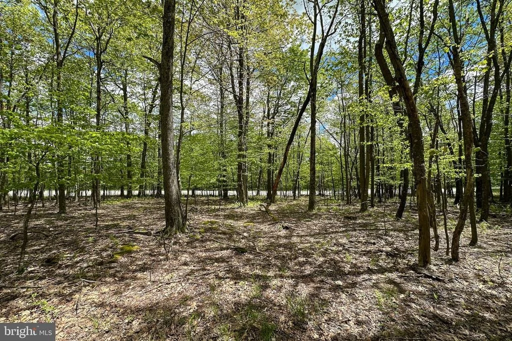 Photo of Lot 100 SNOWHAVEN LANE