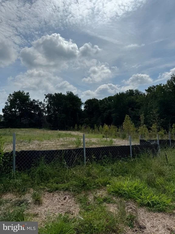 Photo of 7813 CINDER BED ROAD
