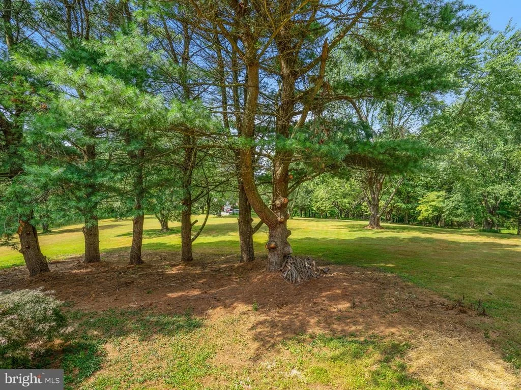 Photo of 8205 GOODHURST DRIVE