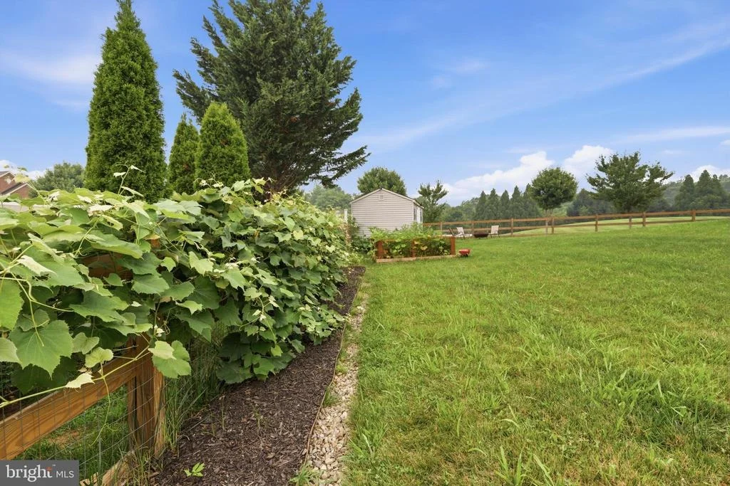 Photo of 3601 BERTRAM DRIVE