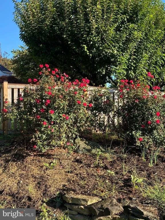 Photo of 26016 RIDGE ROAD