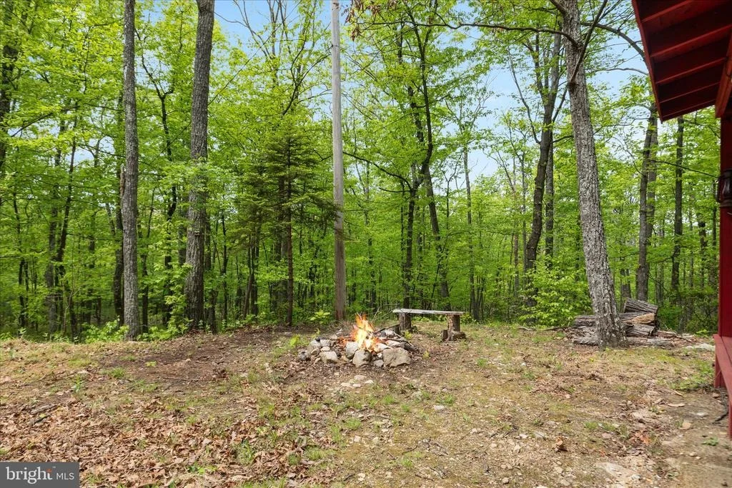 Photo of 551 SAWLOG