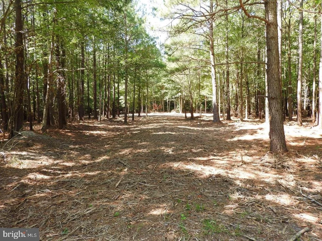 Photo of 5226 HERON ROAD