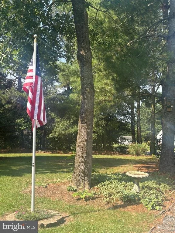 Photo of 207 THRASHER WAY