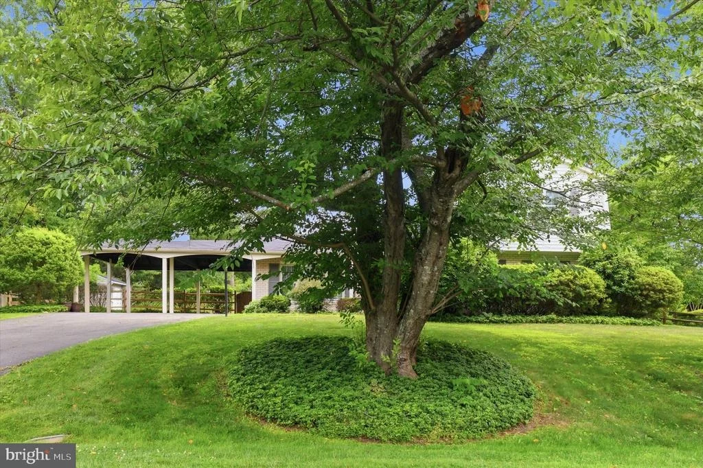 Photo of 3710 QUEEN MARY DRIVE
