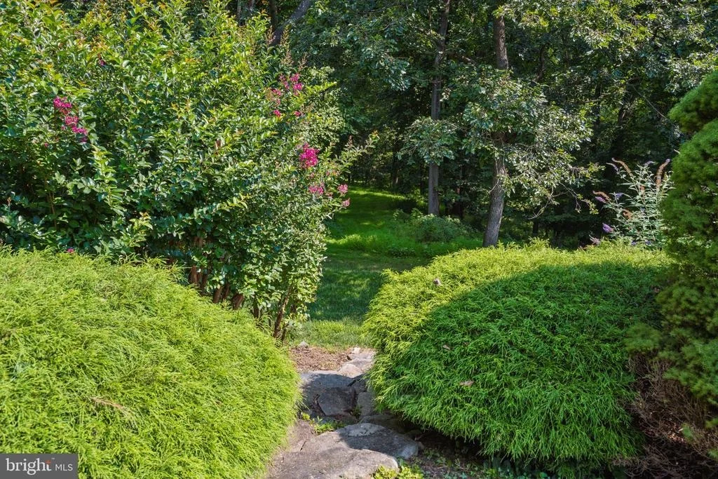 Photo of 17026 BARN RIDGE DRIVE