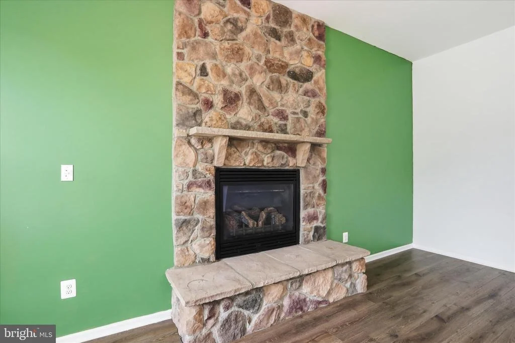 Photo of 1304 MOORE SPRING COURT