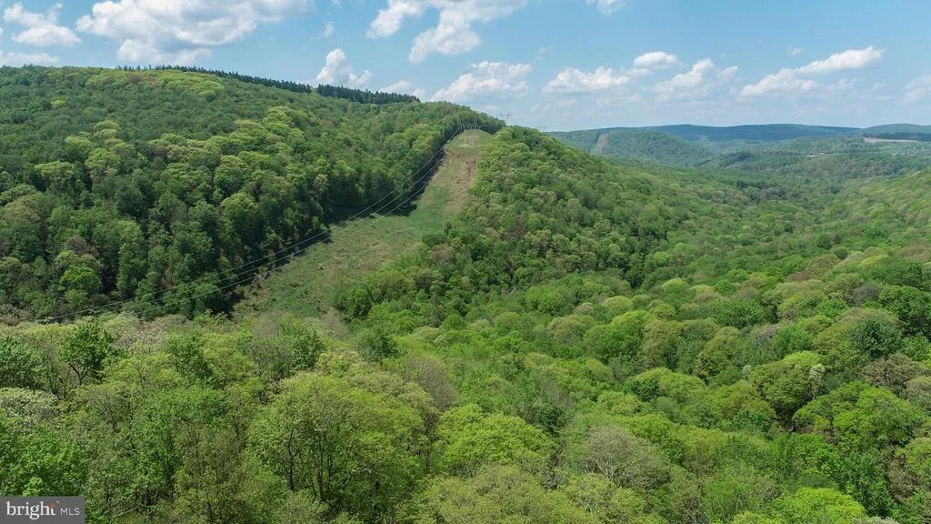 Photo of 259 RESH LANE