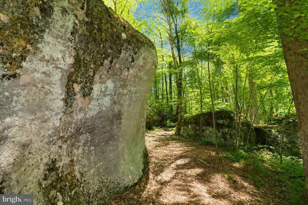 Photo of 94 MOUNTAINTOP ROAD