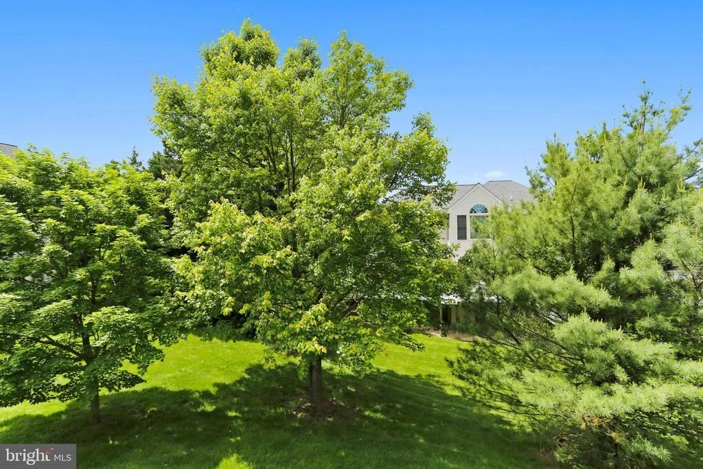 Photo of 13802 WILLOW TREE DRIVE