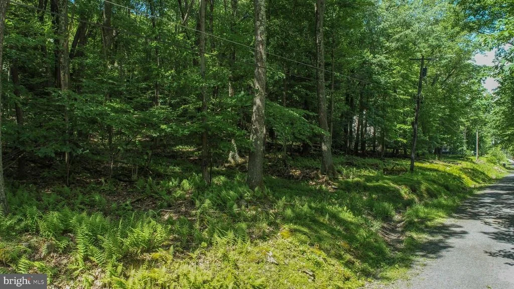Photo of LOT 181 SANTA FE TRAIL