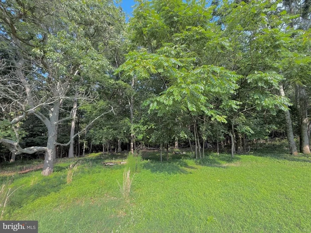 Photo of 12516 OLIVET ROAD