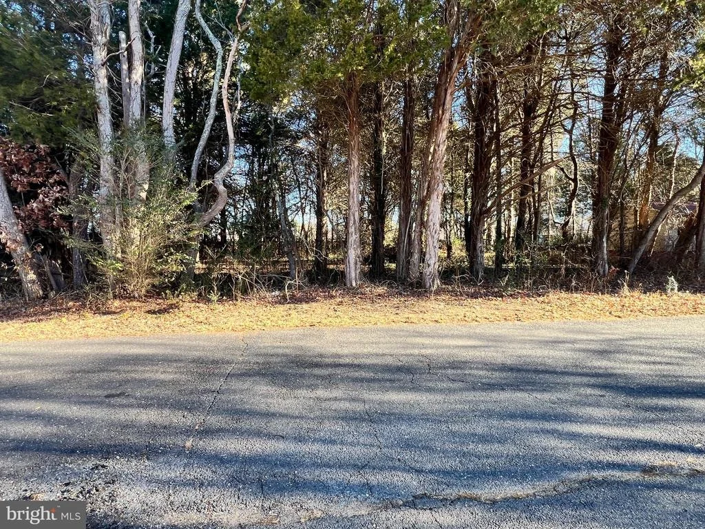 Photo of BAY DR