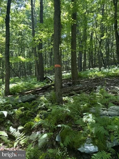 Photo of 7275 BLACK ROAD
