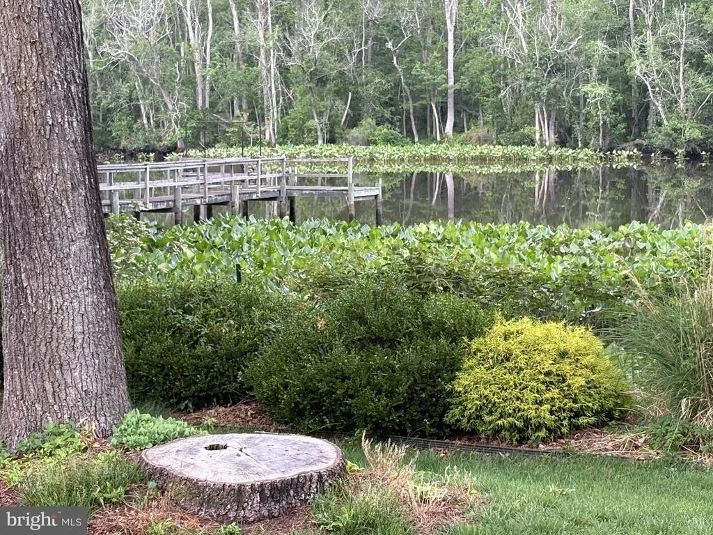Photo of 30823 DOGWOOD DRIVE
