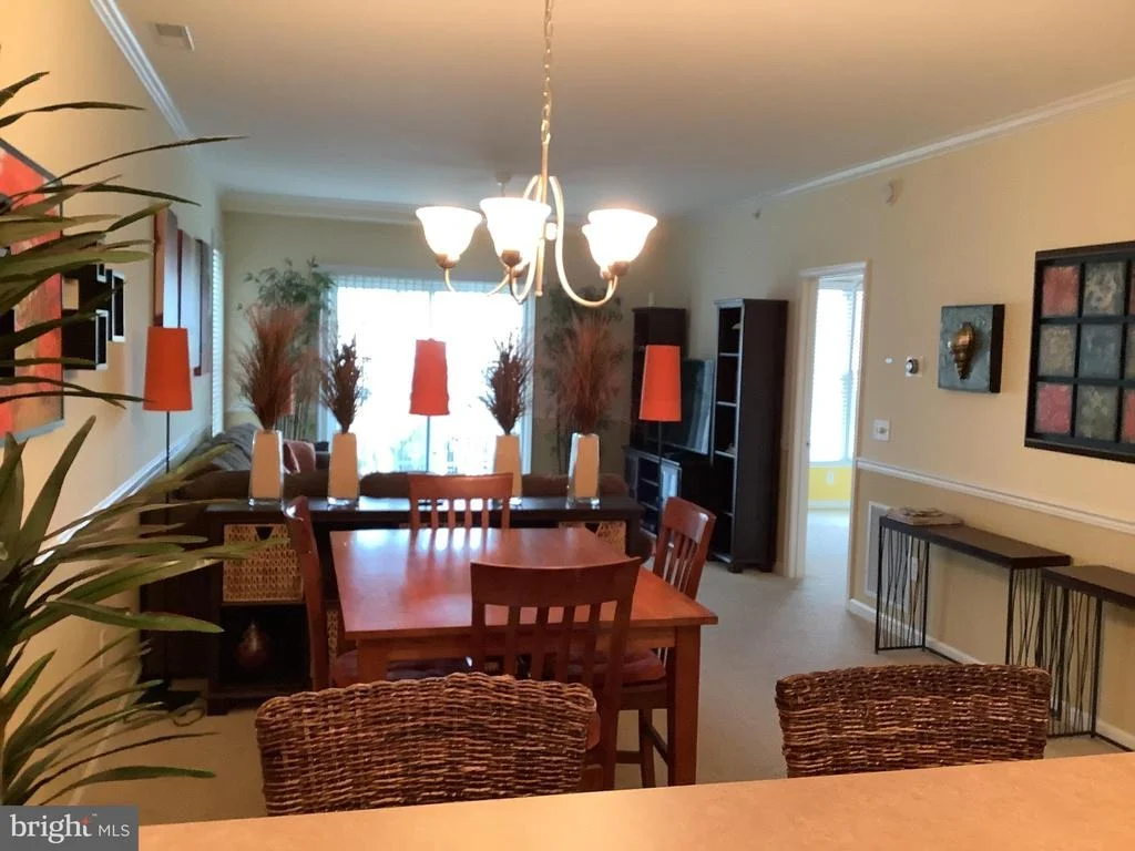 Photo of Unit 4202 at 20007 SANDY BOTTOM CIRCLE