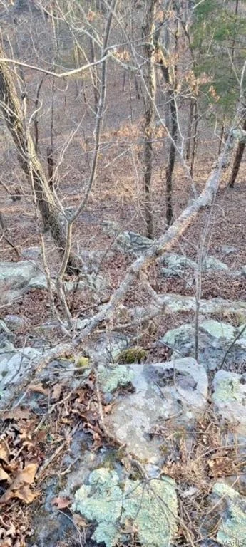 Photo of 12502 Bell Road