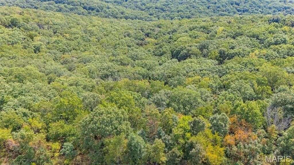 Photo of 14456 Highway FF