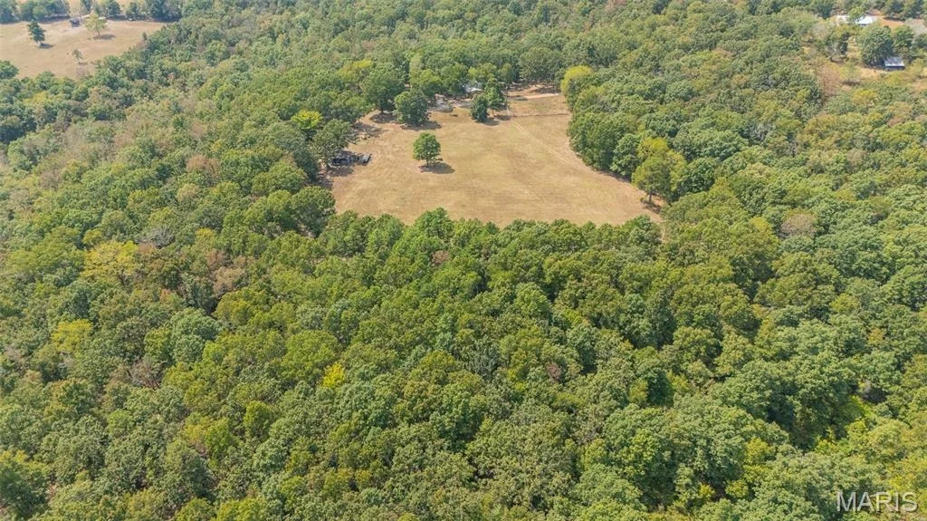 Photo of 12502 Bell Road