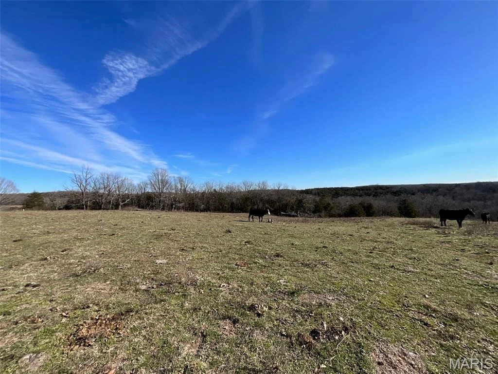 Photo of 594 County Road 873