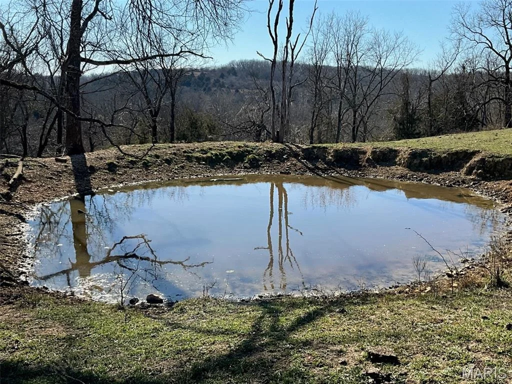 Photo of 594 County Road 873
