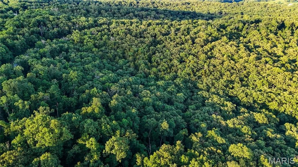 Photo of 00 State Road 94