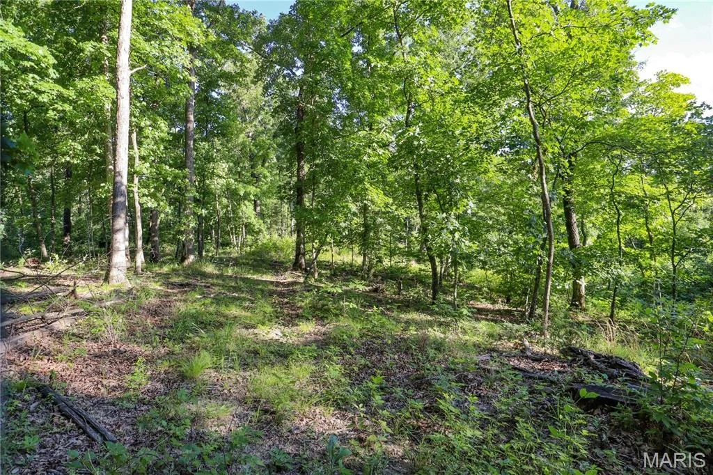 Photo of 00 State Road 94