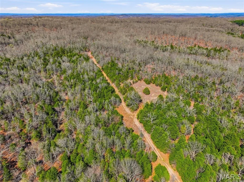 Photo of 2480 County Road 317