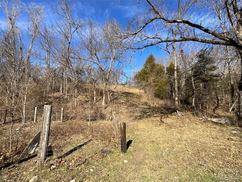 Photo of 594 County Road 873