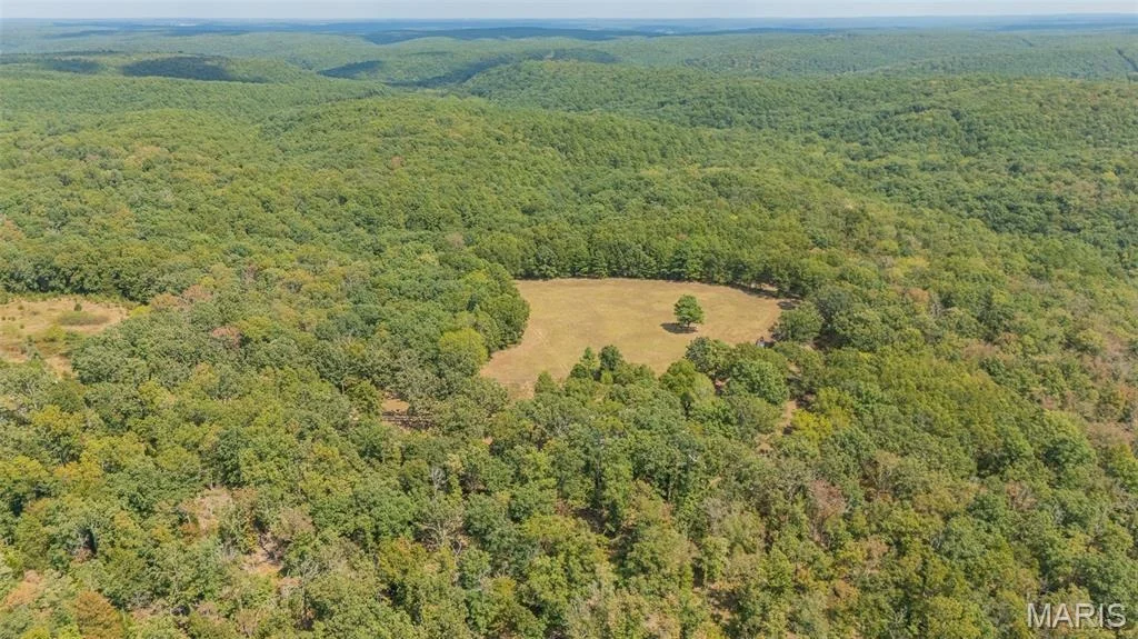 Photo of 12502 Bell Road