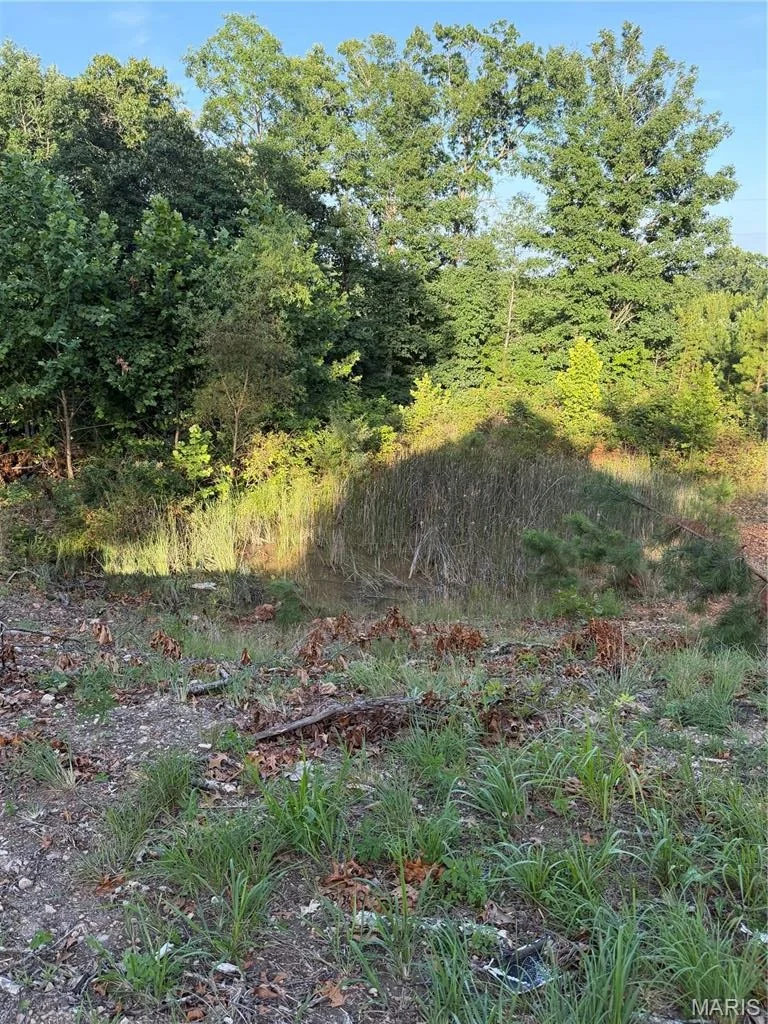 Photo of 25952 State Highway 19