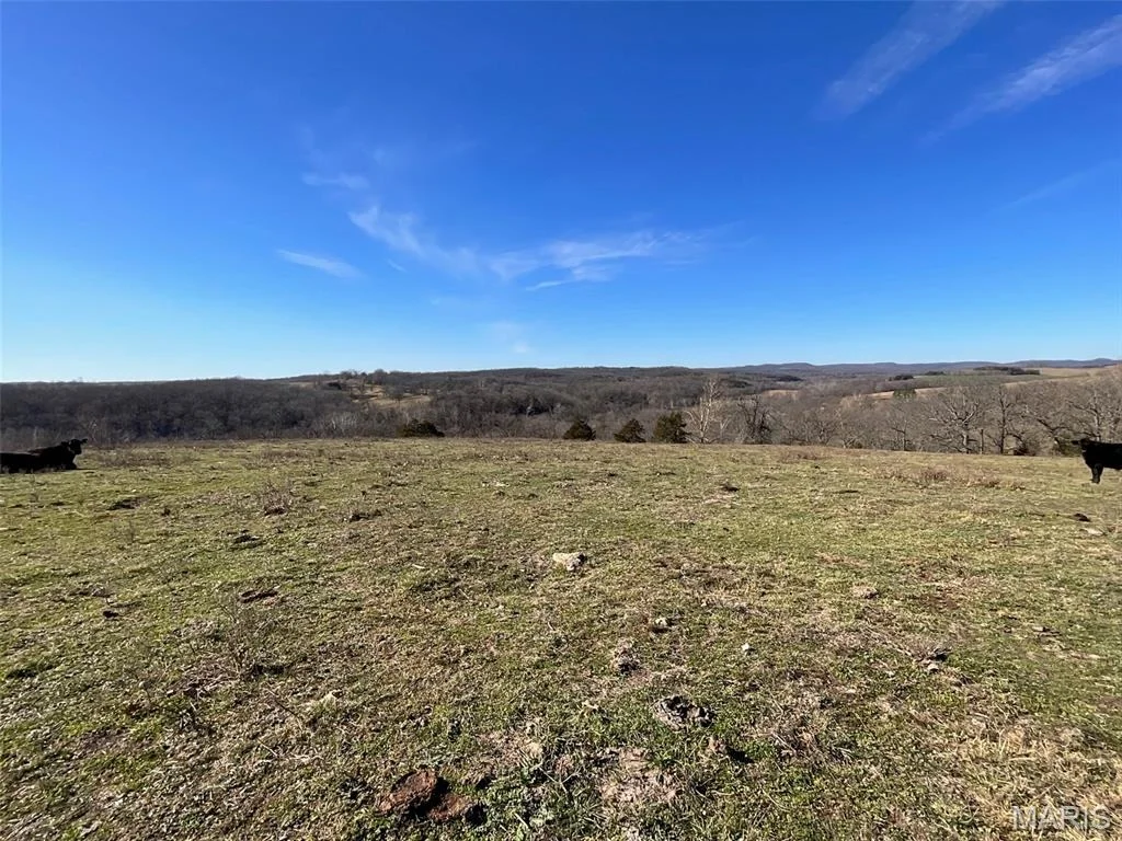 Photo of 594 County Road 873