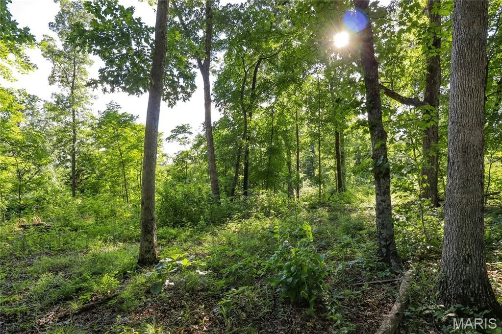 Photo of 00 State Road 94