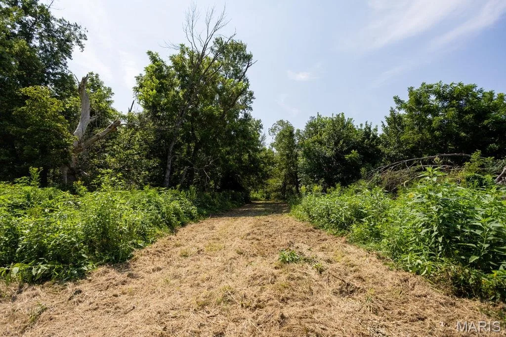 Photo of 56504 Shaw Road