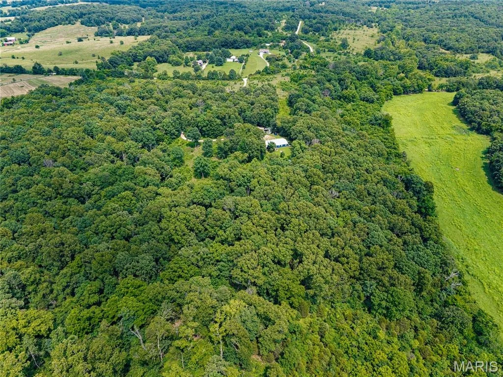 Photo of 7981 County Road 5090