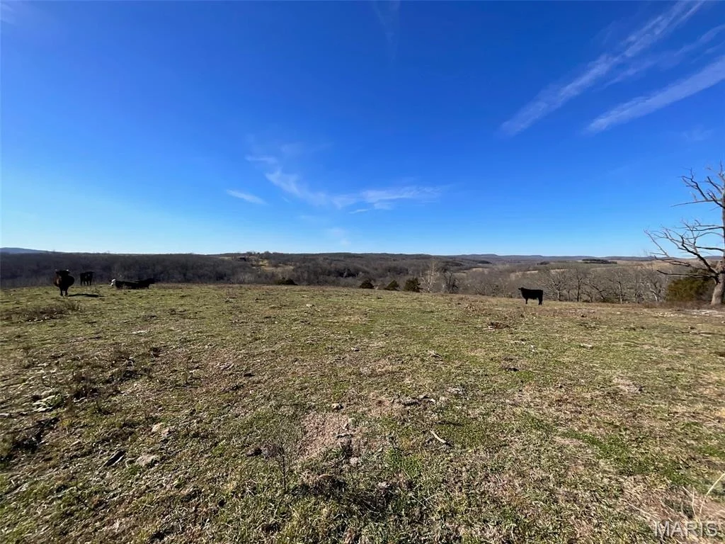 Photo of 594 County Road 873