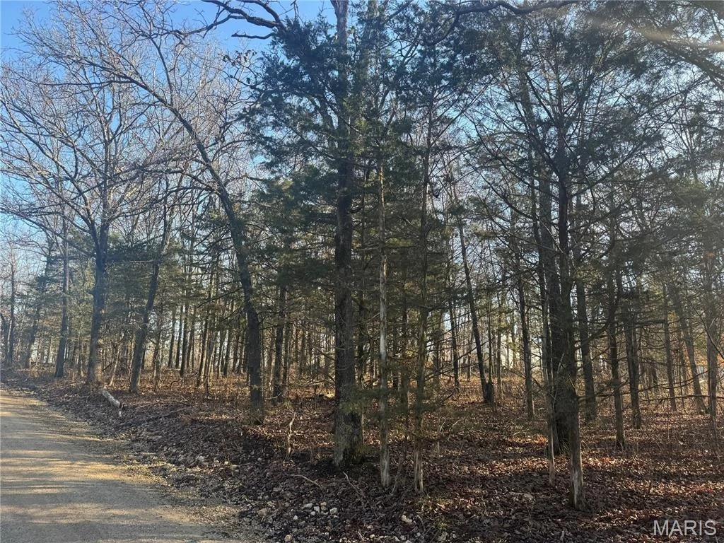 Photo of 42850 Maries Road 638