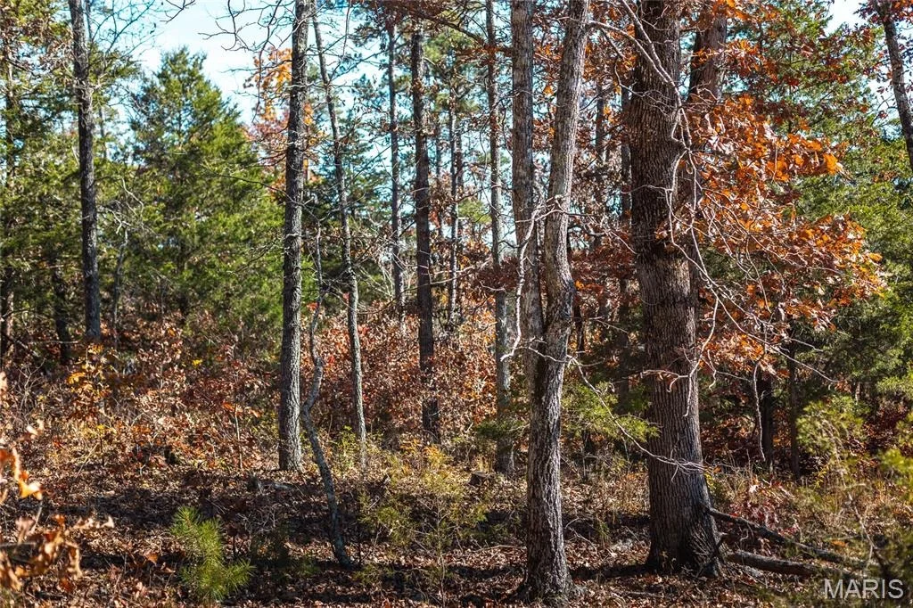 Photo of 15682 Winding Trail