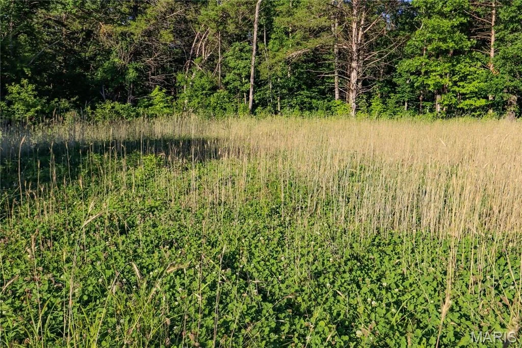 Photo of 00 State Road 94